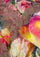 Roses Print Wool & Silk Scarf Sienna Lace